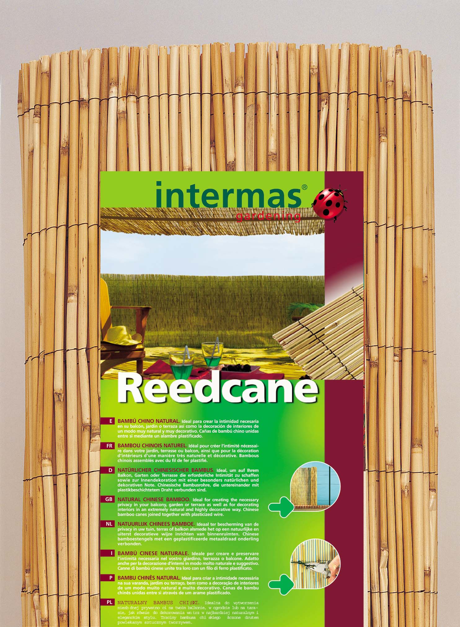 Natural reed Reedcane 1,5x5 m