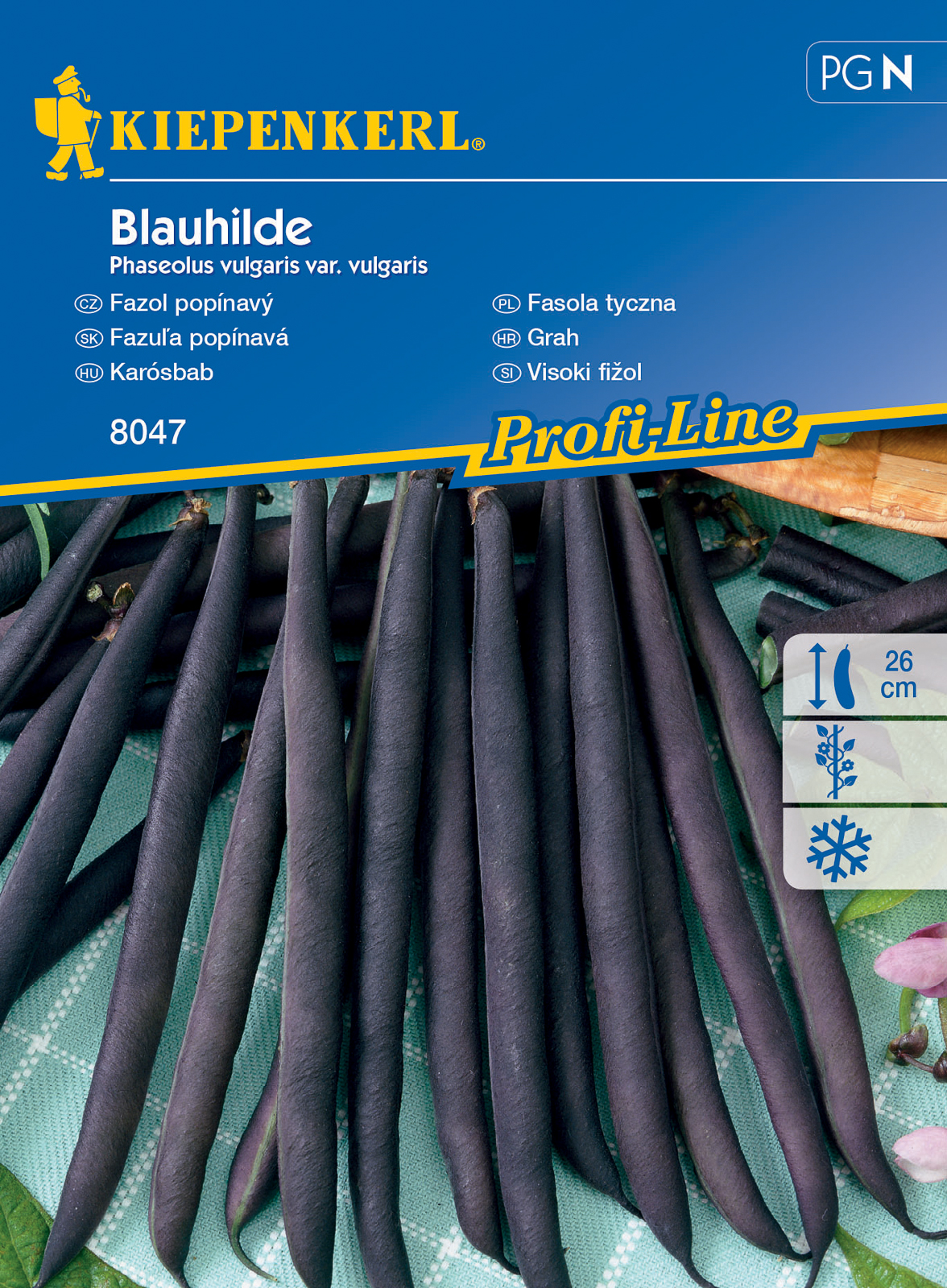 Broad beans Blauhilde for 6-8 stakes Kiepenkerl