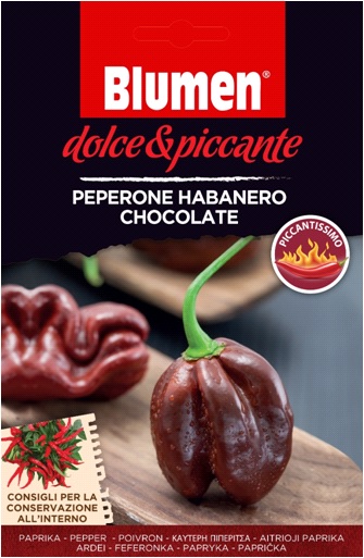 Csokoládé habanero paprika Blumen – extrém csípős Blumen  (kb. 10-20 szem)
