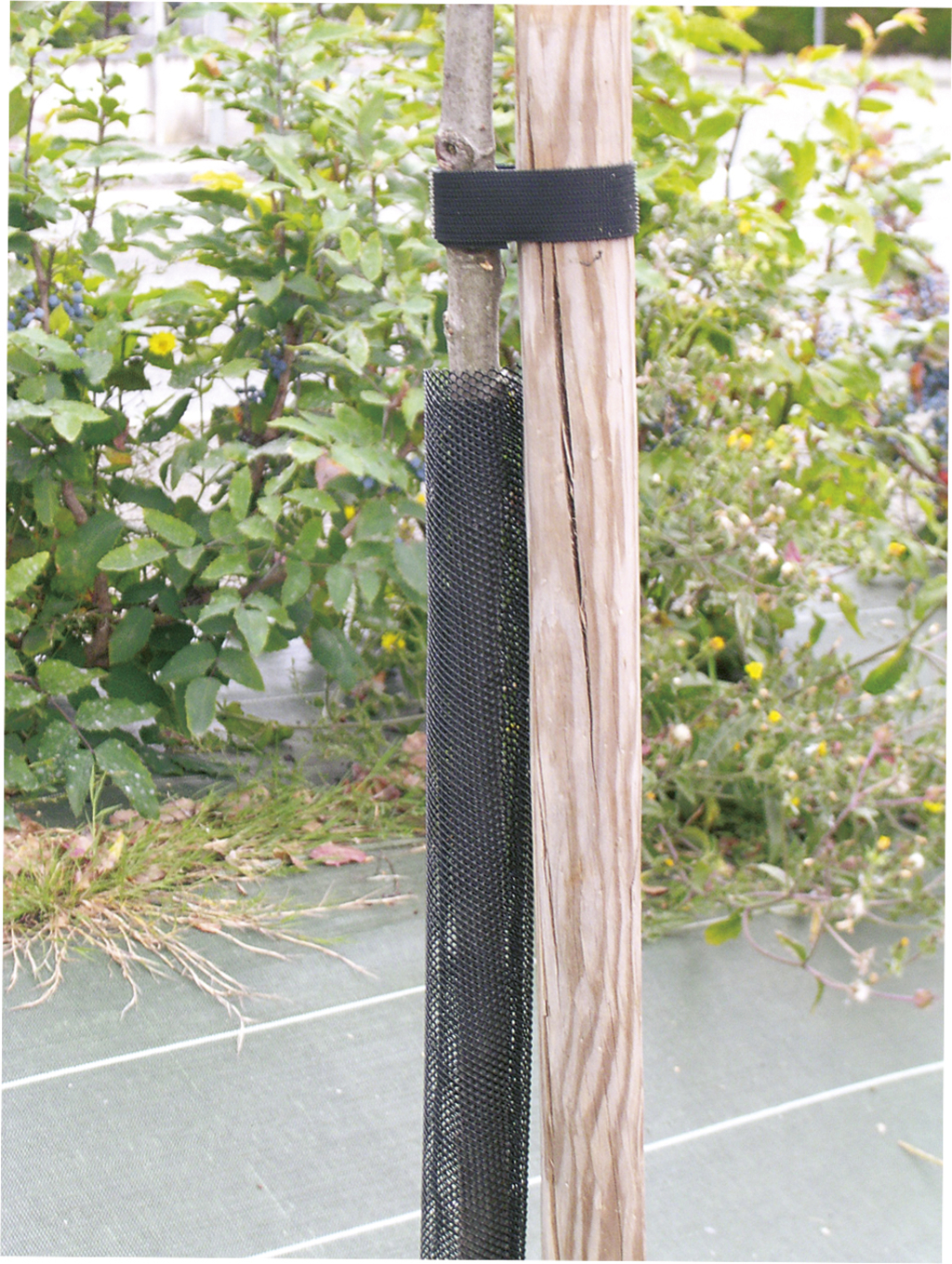 Tree protection grid Treex black 110cm (11 cm diameter)