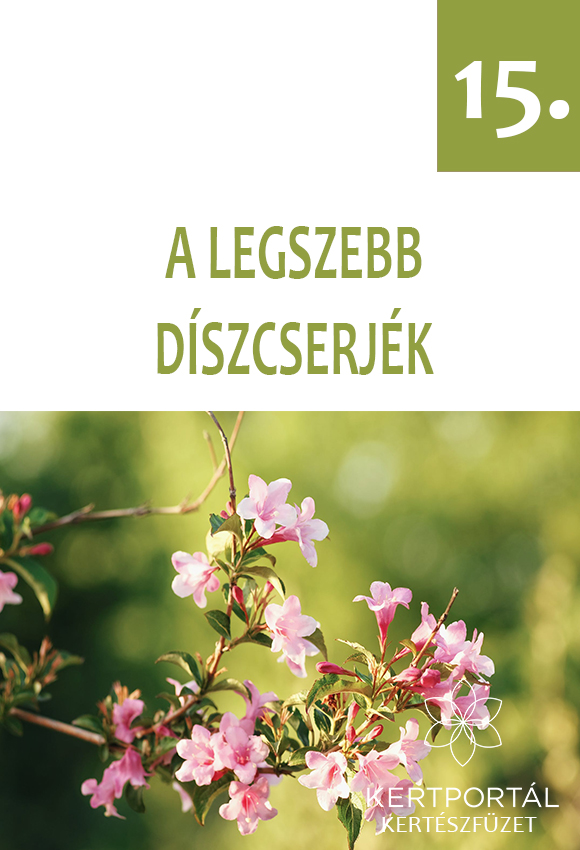 A legszebb díszcserjék - Kertészfüzetek 15. rész - V. Topor Erika