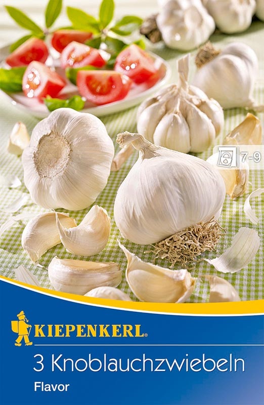 Garlic Flavor 3 heads Kiepenkerl