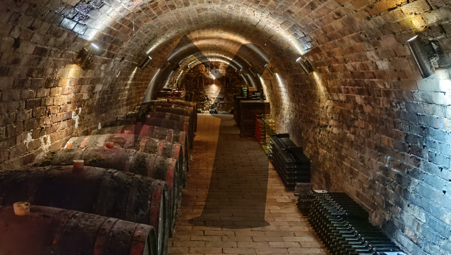 Halál a borospincében: a mustgáz veszélyei