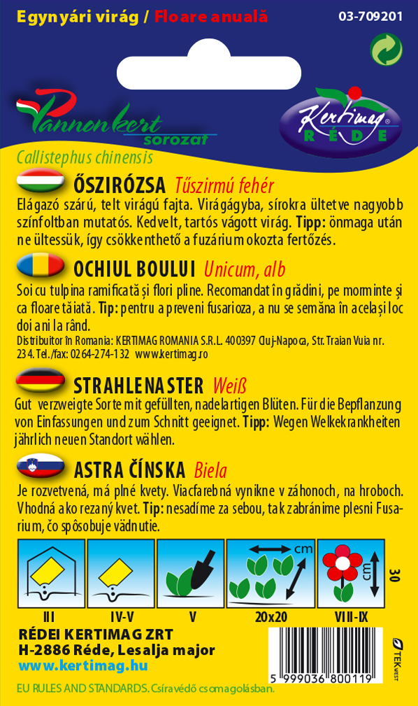 Őszirózsa Tűszirmú fehér 1g