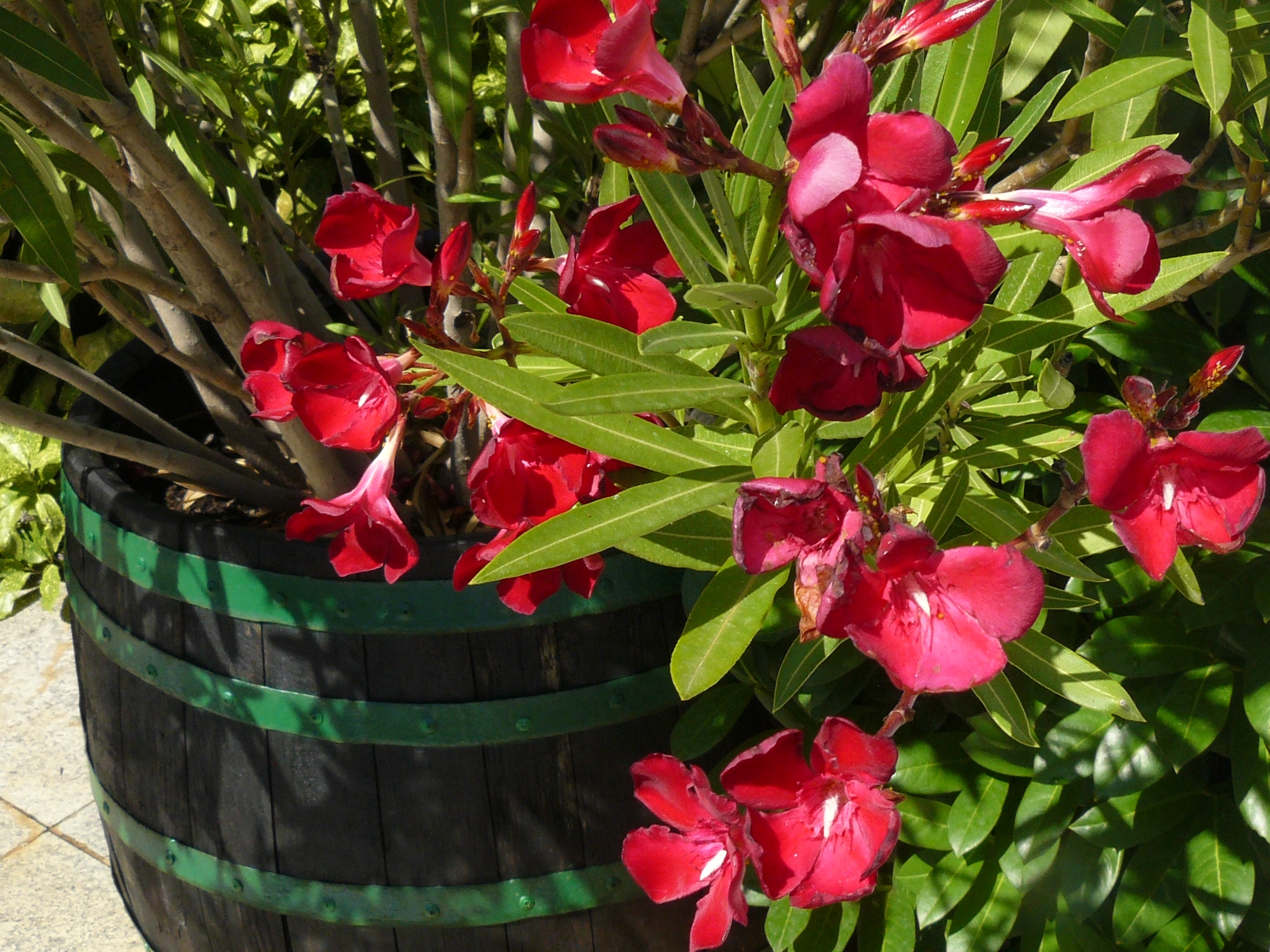 Indul a második menet