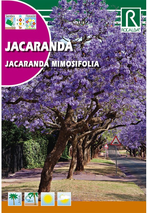 Mimózalevelű dzsakaranda (Jacaranda mimiosifolia) 0,5g  Rocalba
