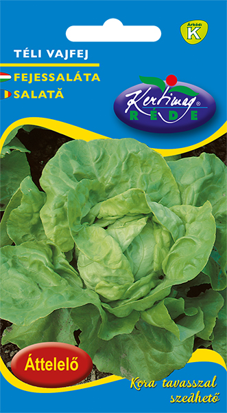 Cabbage lettuce Winter butter head 2,5g