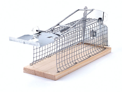 Mousetrap wire cage 7x15cm