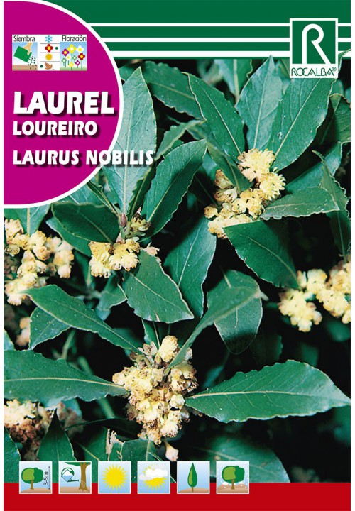 Laurel Rocalba 4 g