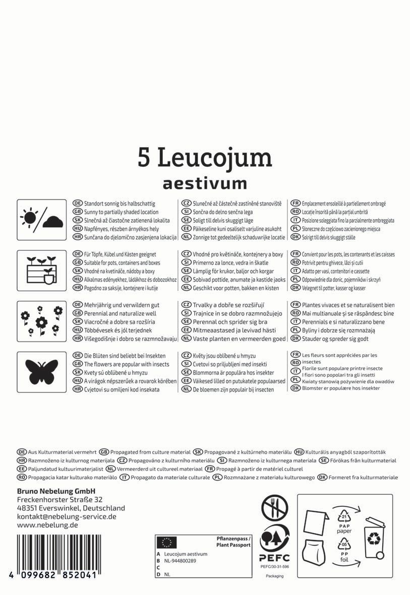 Bulb Spring Pea (Leucojum aestivum) Kiepenkerl 5 pcs