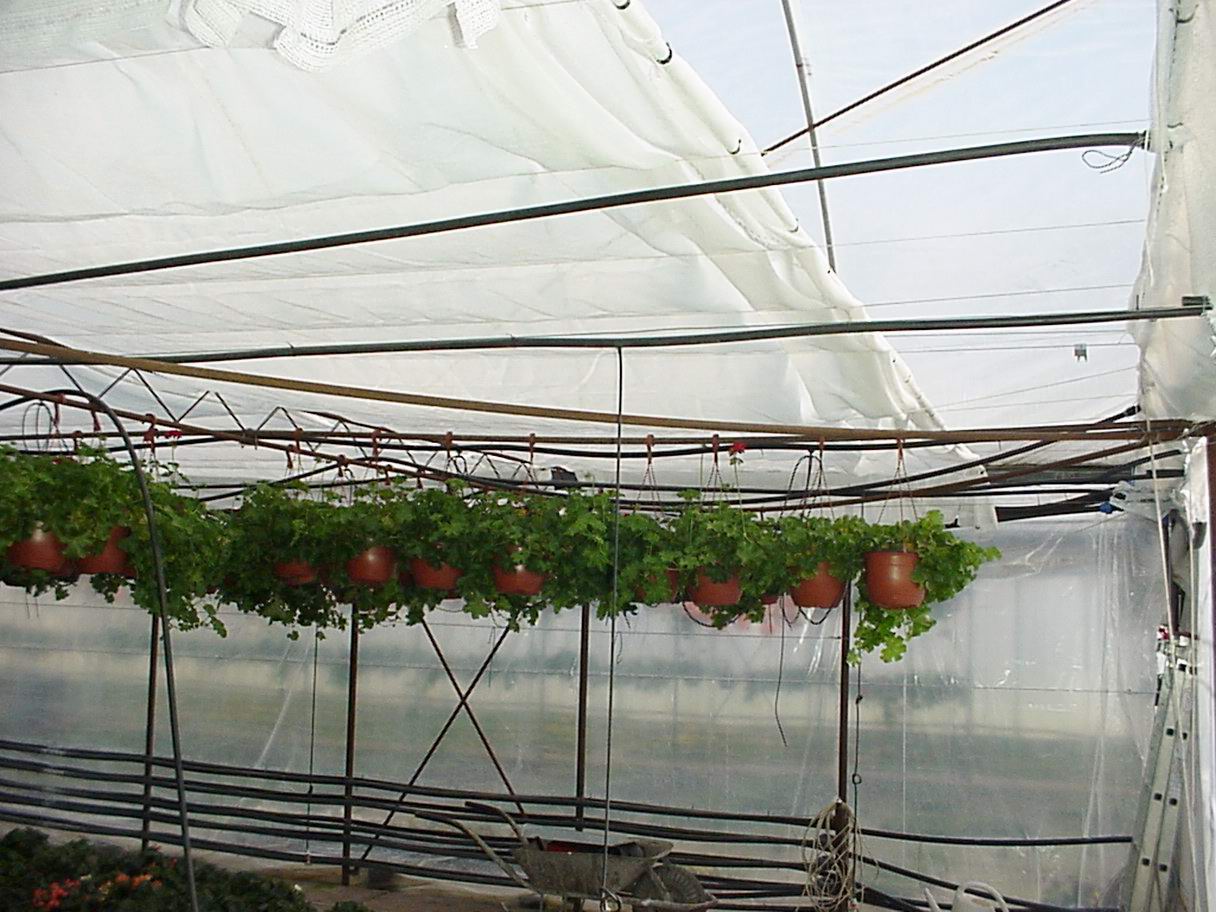 Raschel-háló fehér 2,5x100 m (45%)