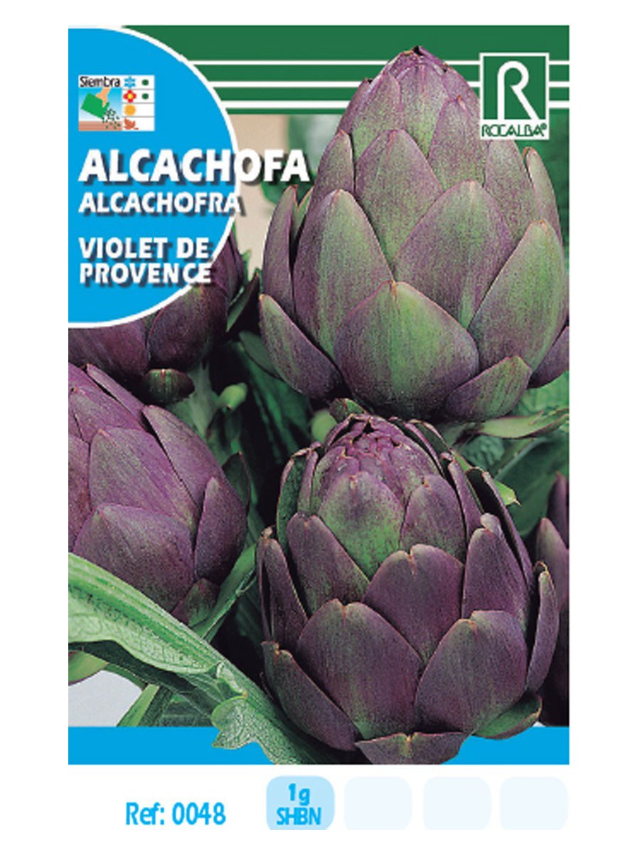 Artichoke Violet de Provance 1g Rocalba