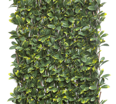 Fűzfa apácarács zöld díszlevelekkel Willgreen zöld/barna 1x2m