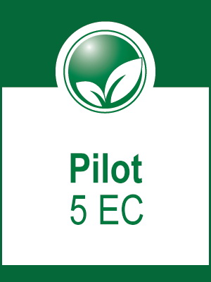 Pilot 5 EC 5 l