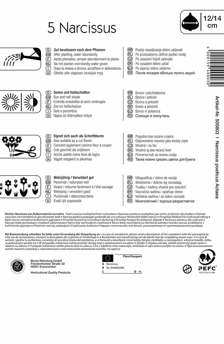 Virághagyma Nárcisz Actaea 5 db Kiepenkerl