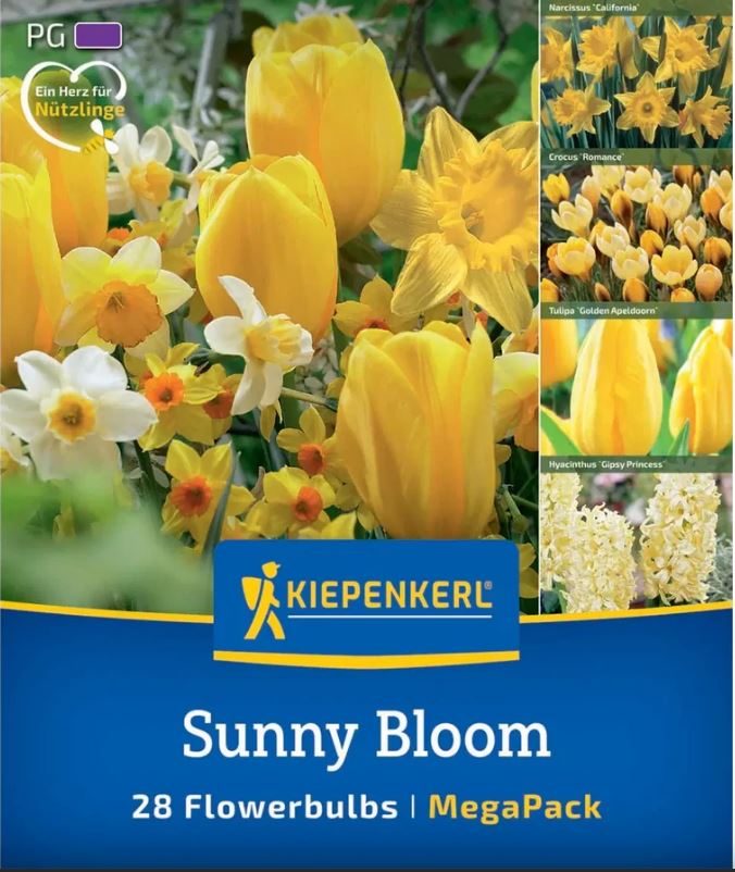 Virághagyma Mix (Tulipán-Nárcisz-Krókusz-Jácint) Sunny Bloom Kiepenkerl 28 db