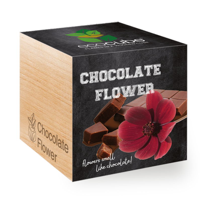 ecocube - Chocolate flower