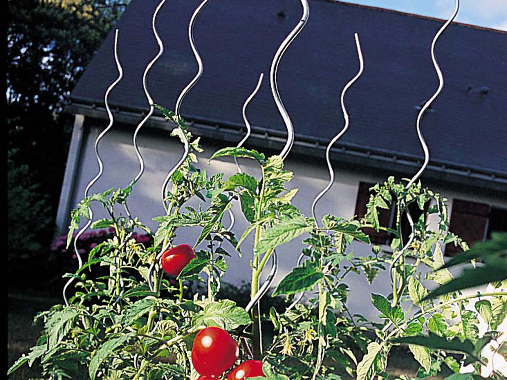 Spirál alakú paradicsom karó Tomato Spiral 1,8 m