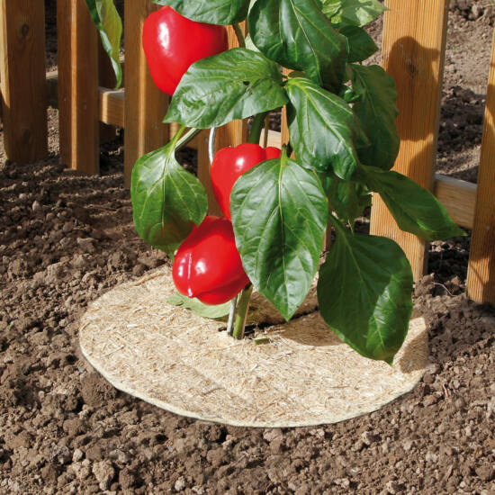 Talajtakaró 100% természetes Chanvrelin 500 natur 30 cm átmérő