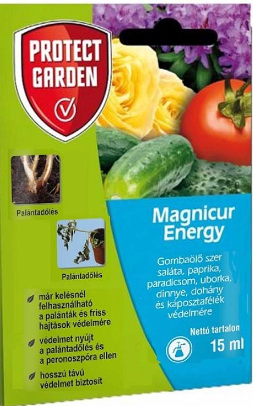 Magnicur Energy 15 ml