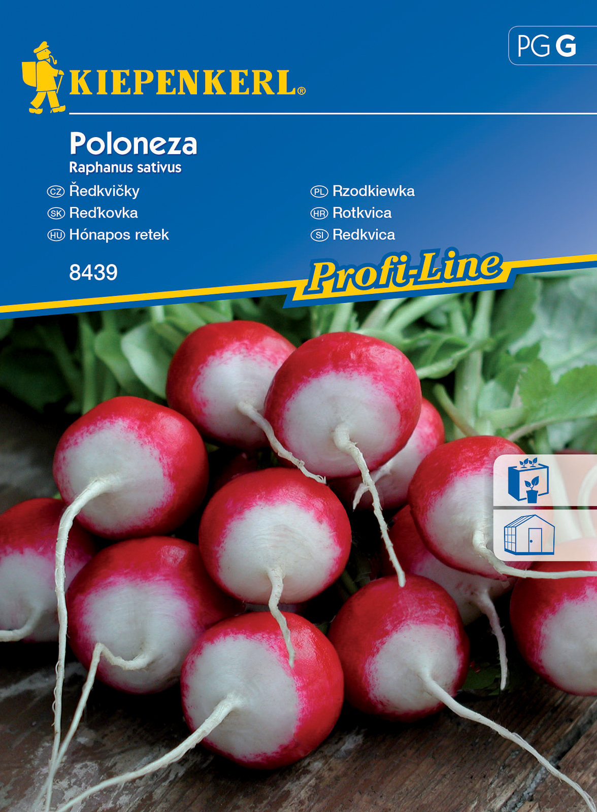 Monthly radish Poloneza 10 fm Kiepenkerl