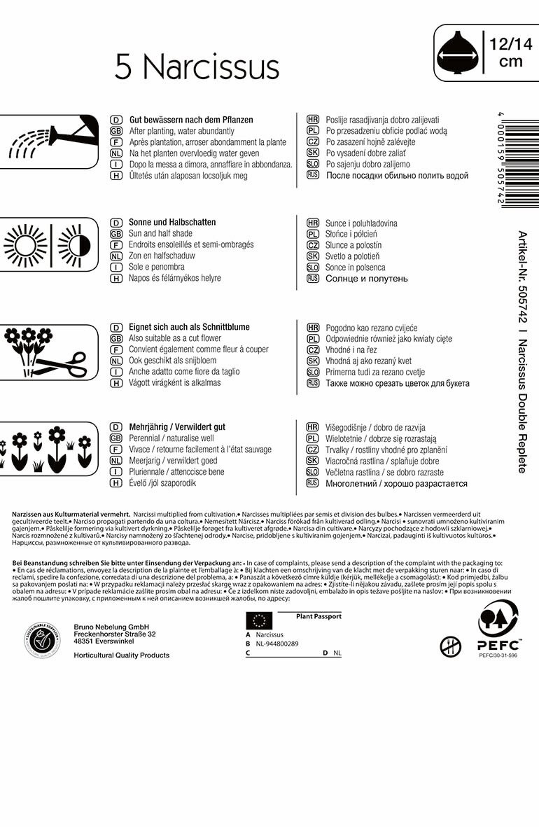 Virághagyma Nárcisz Replete 5 db Kiepenkerl