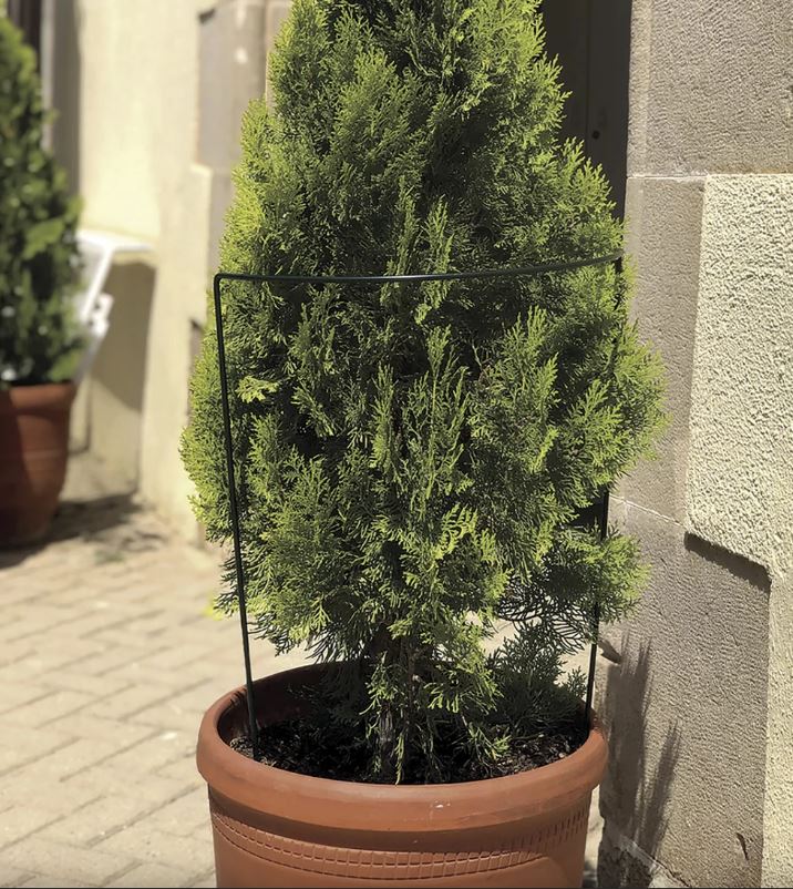 Semicircular plant support CHELSEA 45x100cm