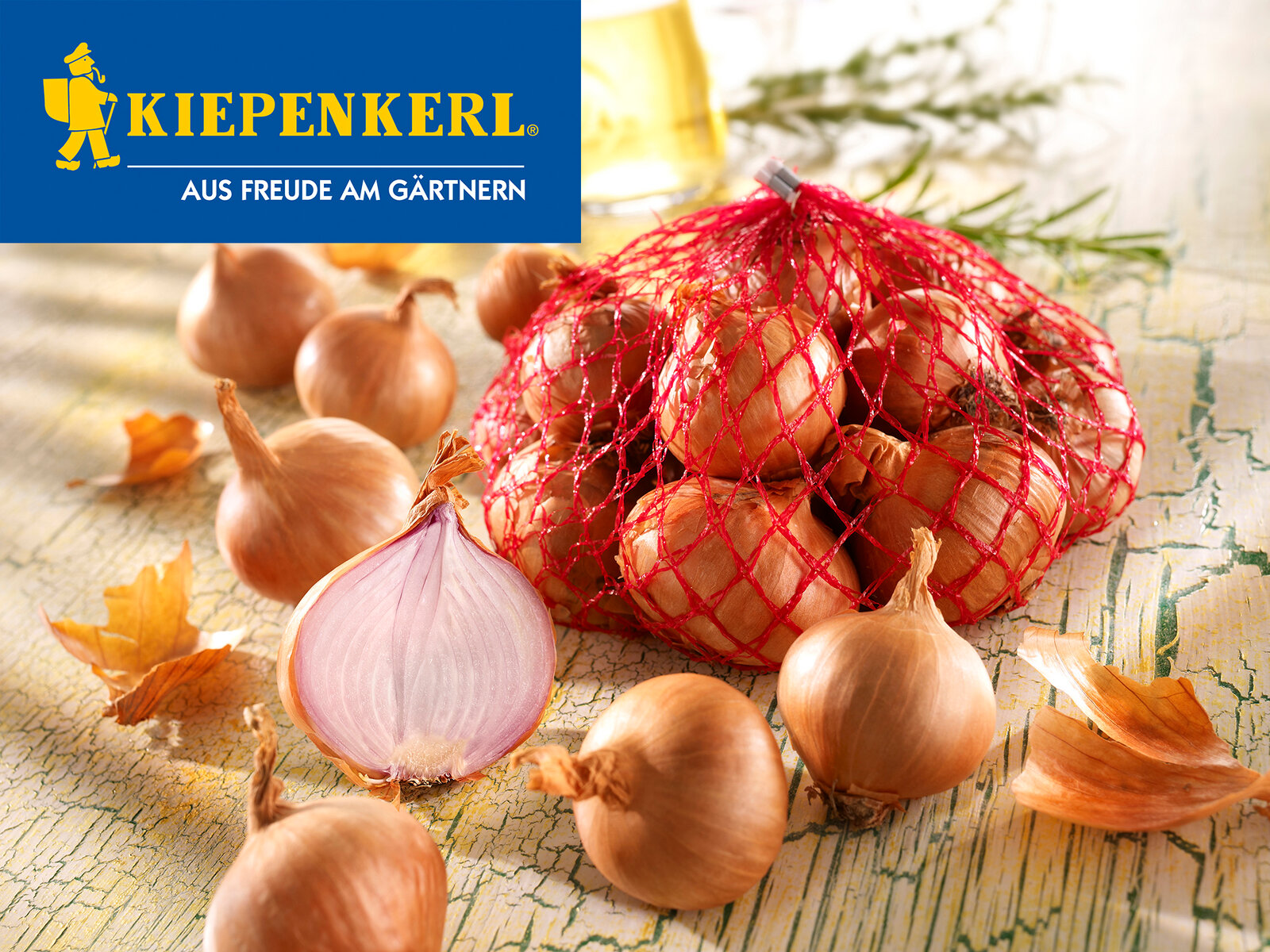 Dughagyma shallots Red Sun Kiepenkerl 500g