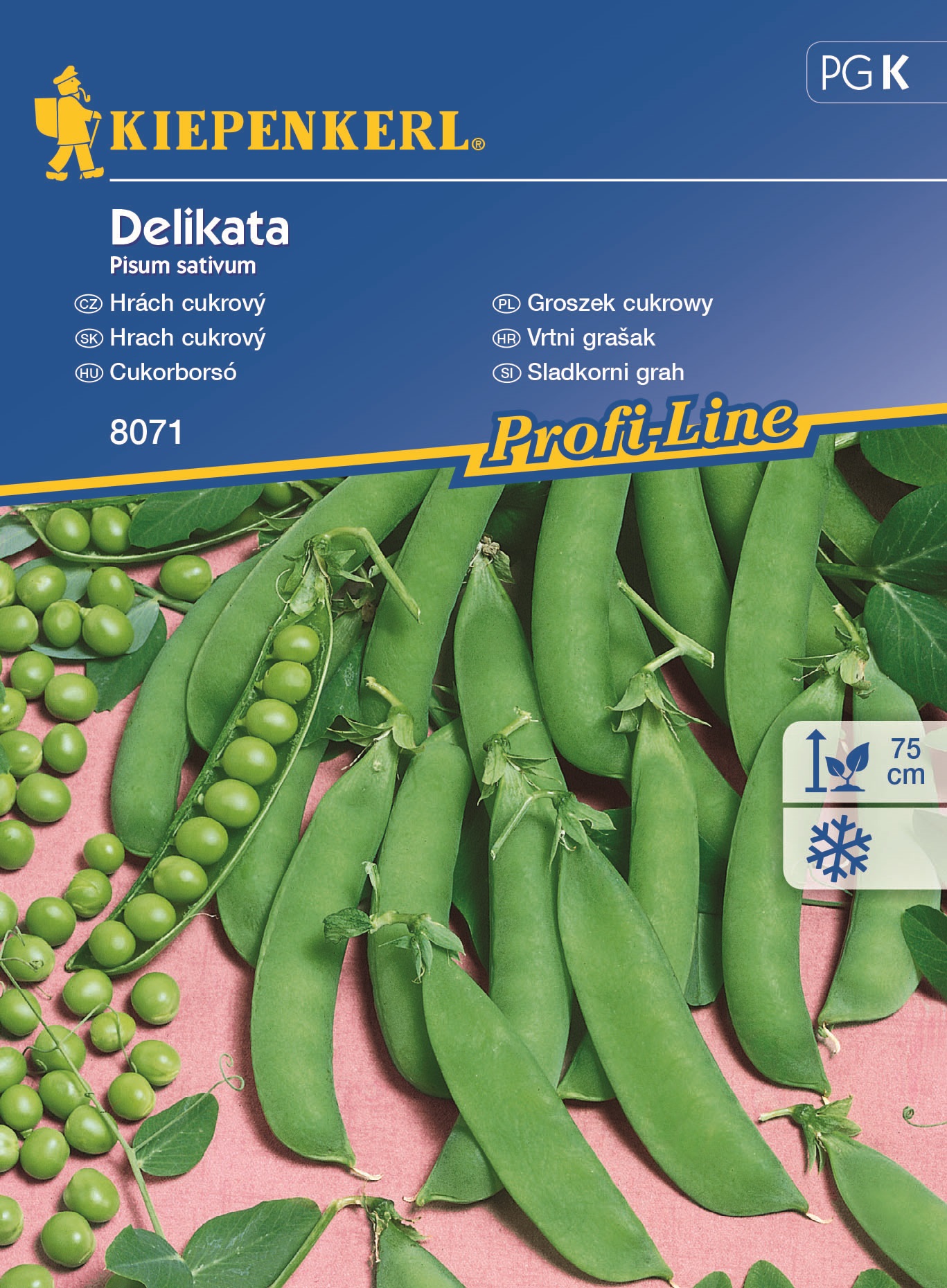 Sweet peas Delikata 5-8 fm Kiepenkerl