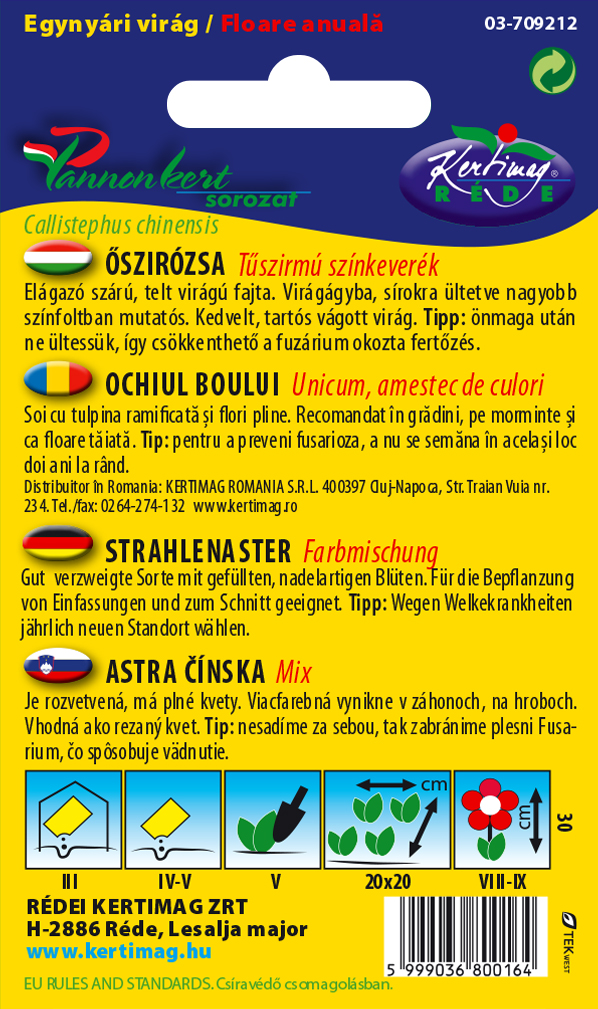 Őszirózsa Tűszirmú színkeverék 1g