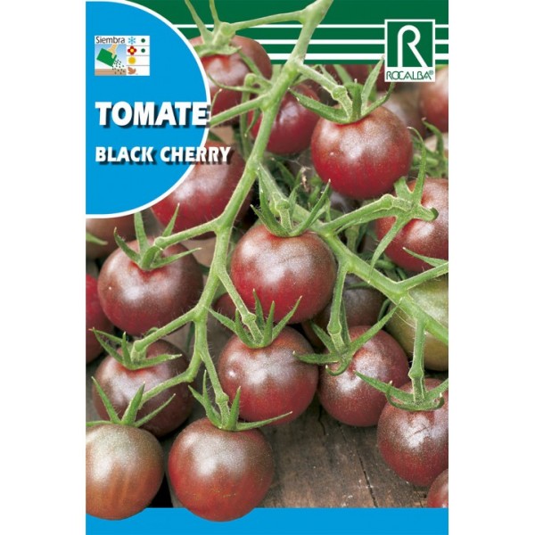 Black Cherry tomato 0,1g Rocalba