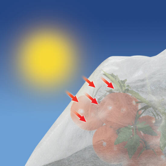 Paradicsomtermesztő tömlő Tomatex 17 g/m2 fehér 0,6 x 10m