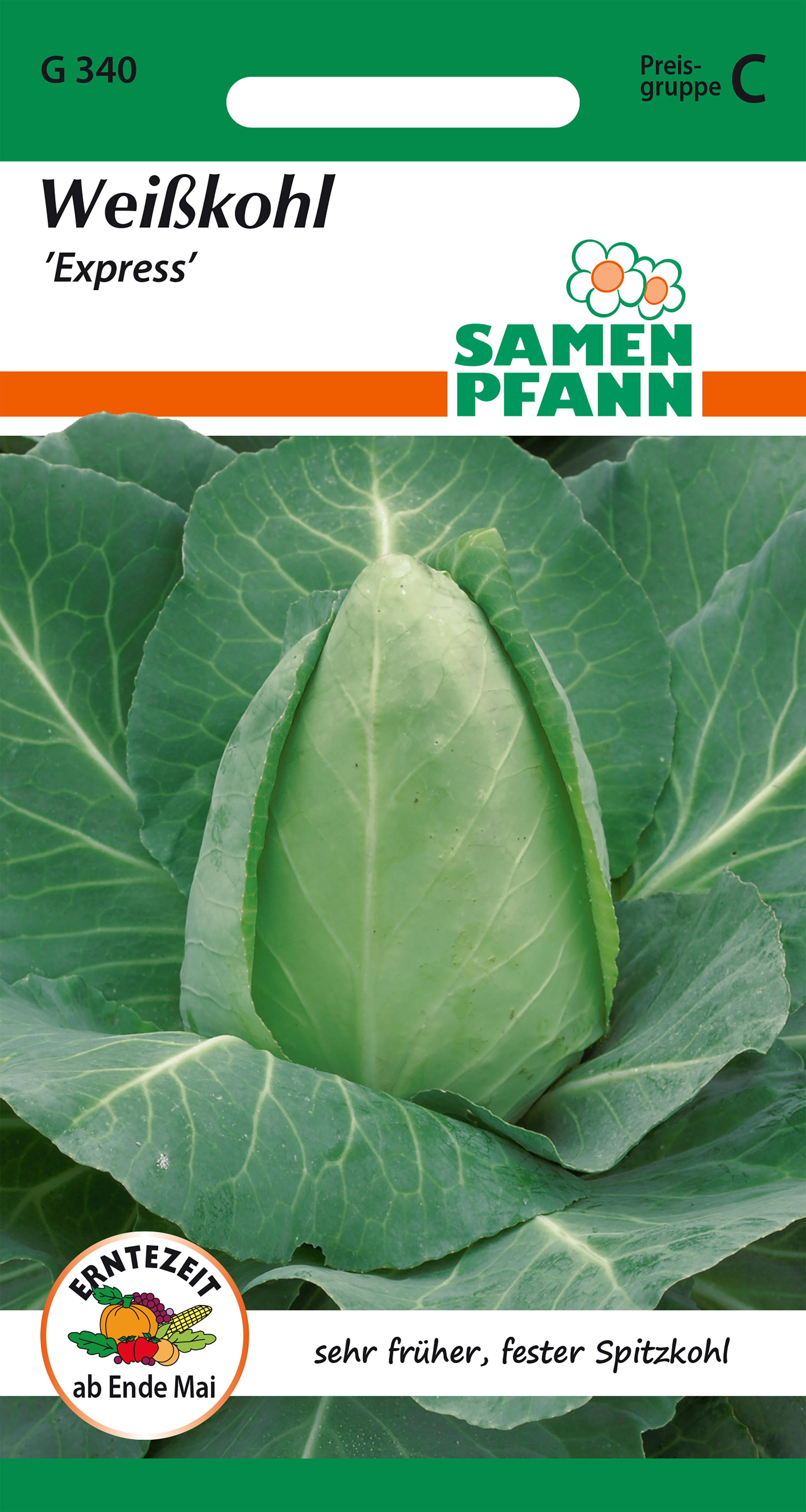 White Cabbage Express approx 150 seeds Seeds Pfann