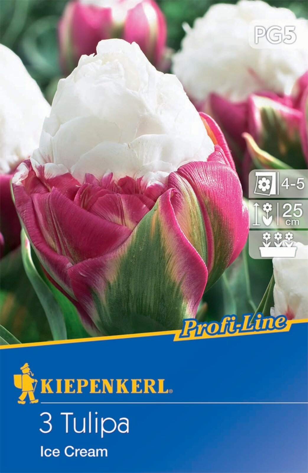 Flower Bulb Tulip Ice Cream 3 pcs Kiepenkerl