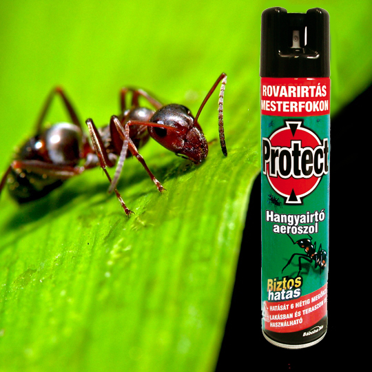 Protect ant killer aerosol 400 ml