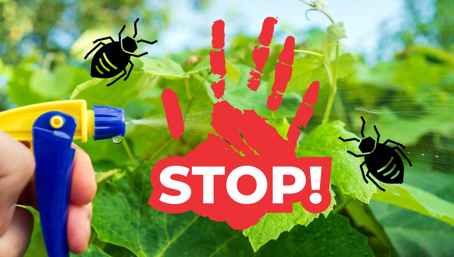 Mospilan 20 SG: fontos változások