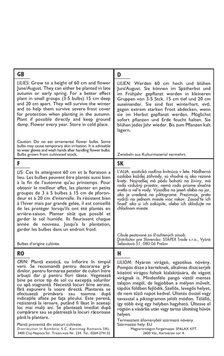 Flower bulb Lily Netty's Pride 1 pc Garden Seed from Rédei