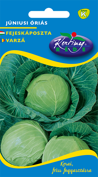 Cabbage June Giant 2g