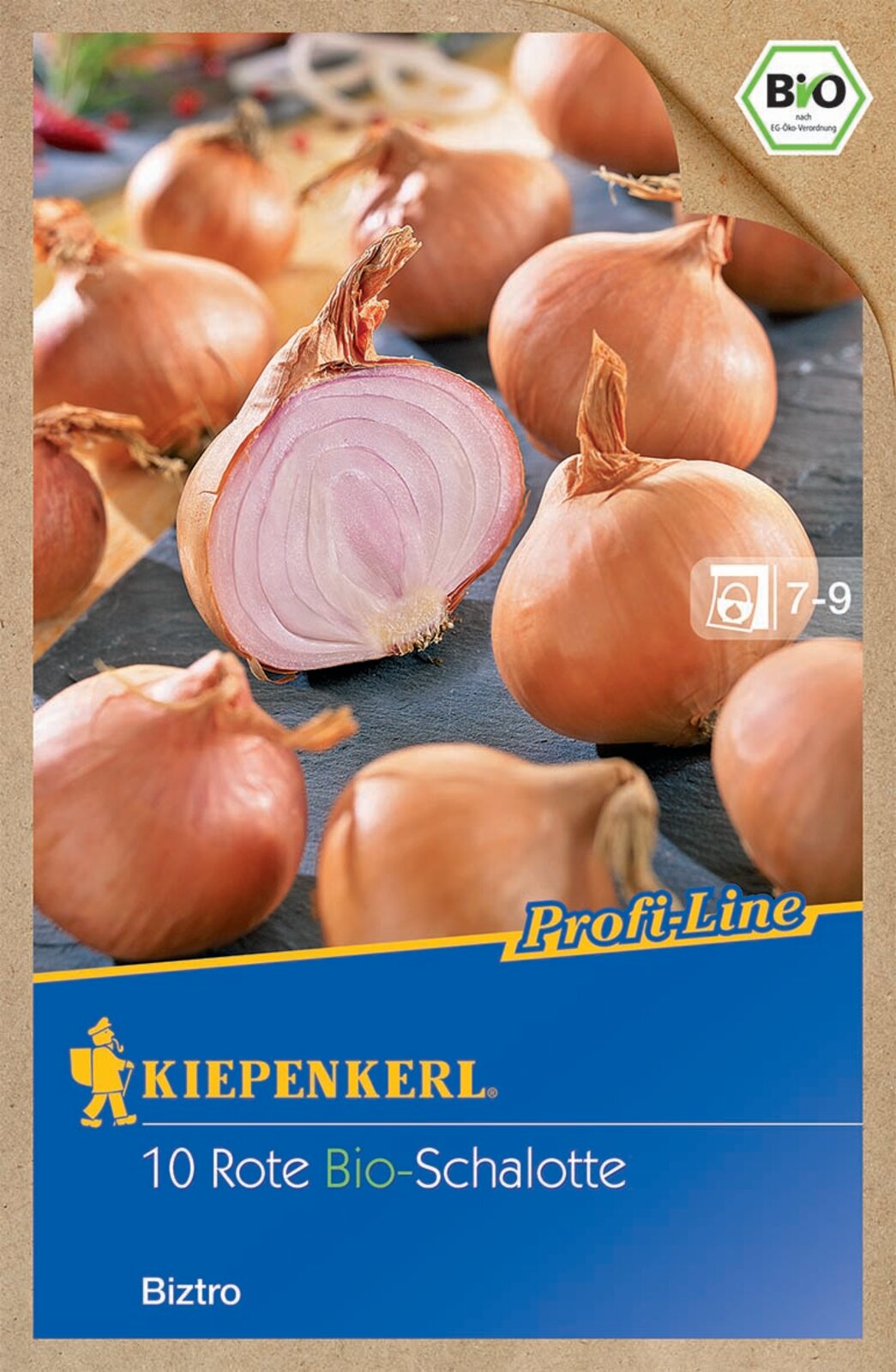 Dughagyma Organic Salotta Onion Biztro Kiepenkerl 10 pcs