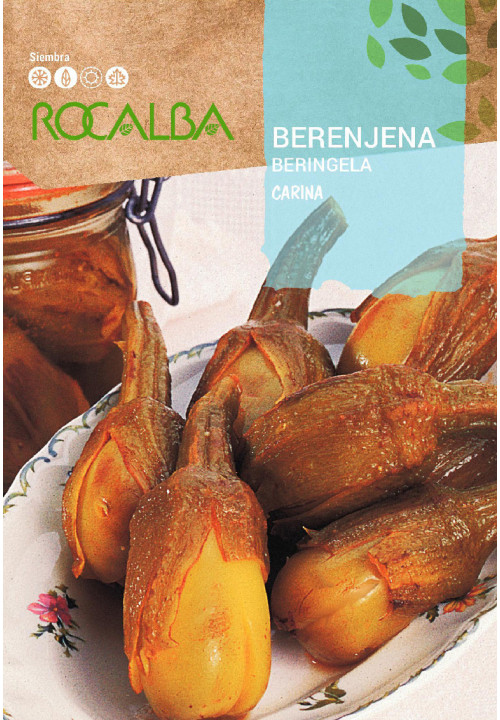 Tojásgyümölcs mini Carina (Berenjena) 3g Rocalba