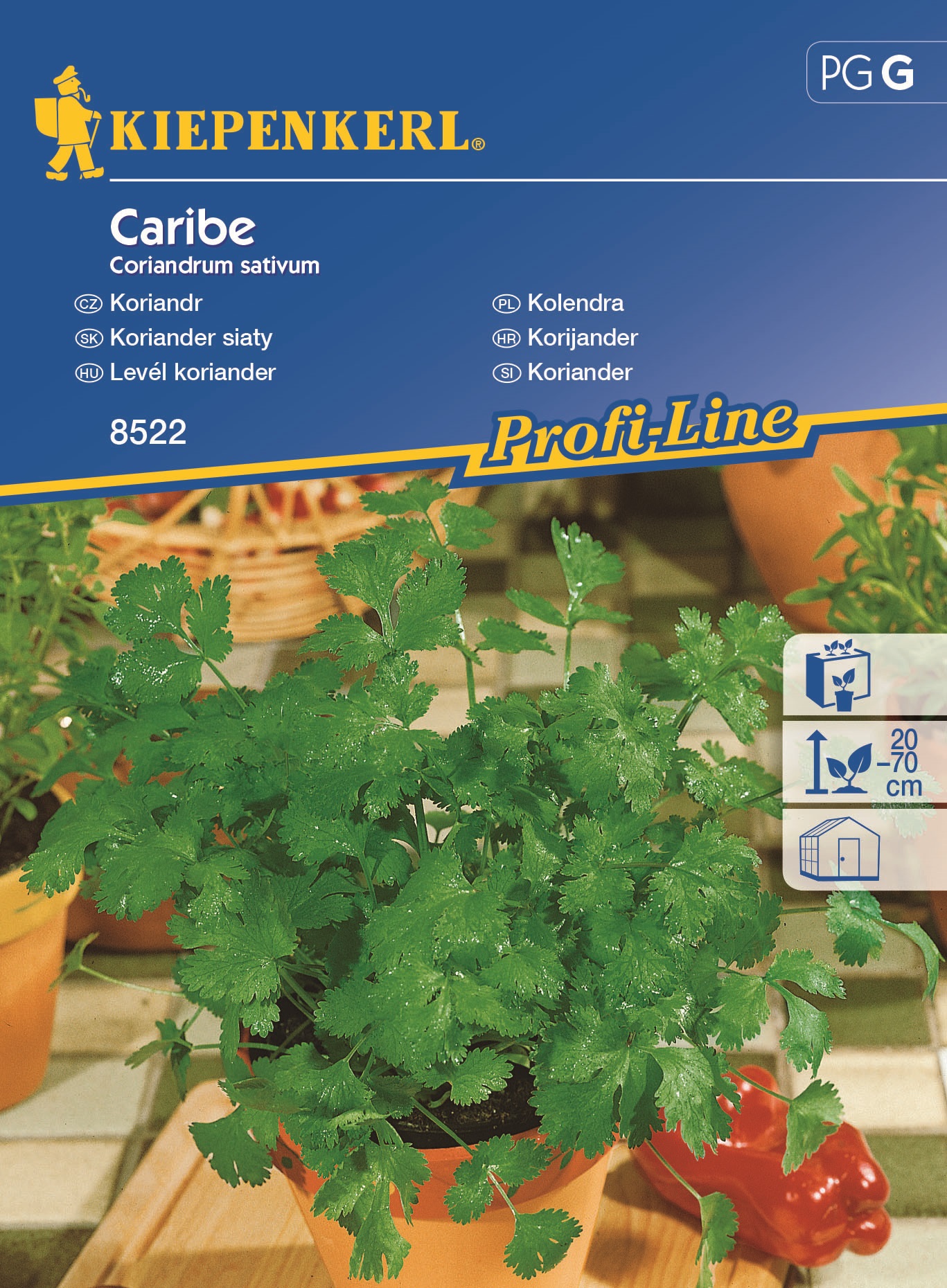 Koriander levél Kiepenkerl kb 70 szem