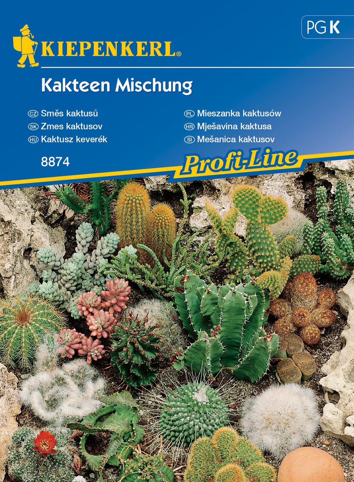 Cacti - a mixture of popular varieties Kiepenkerl 20 pcs