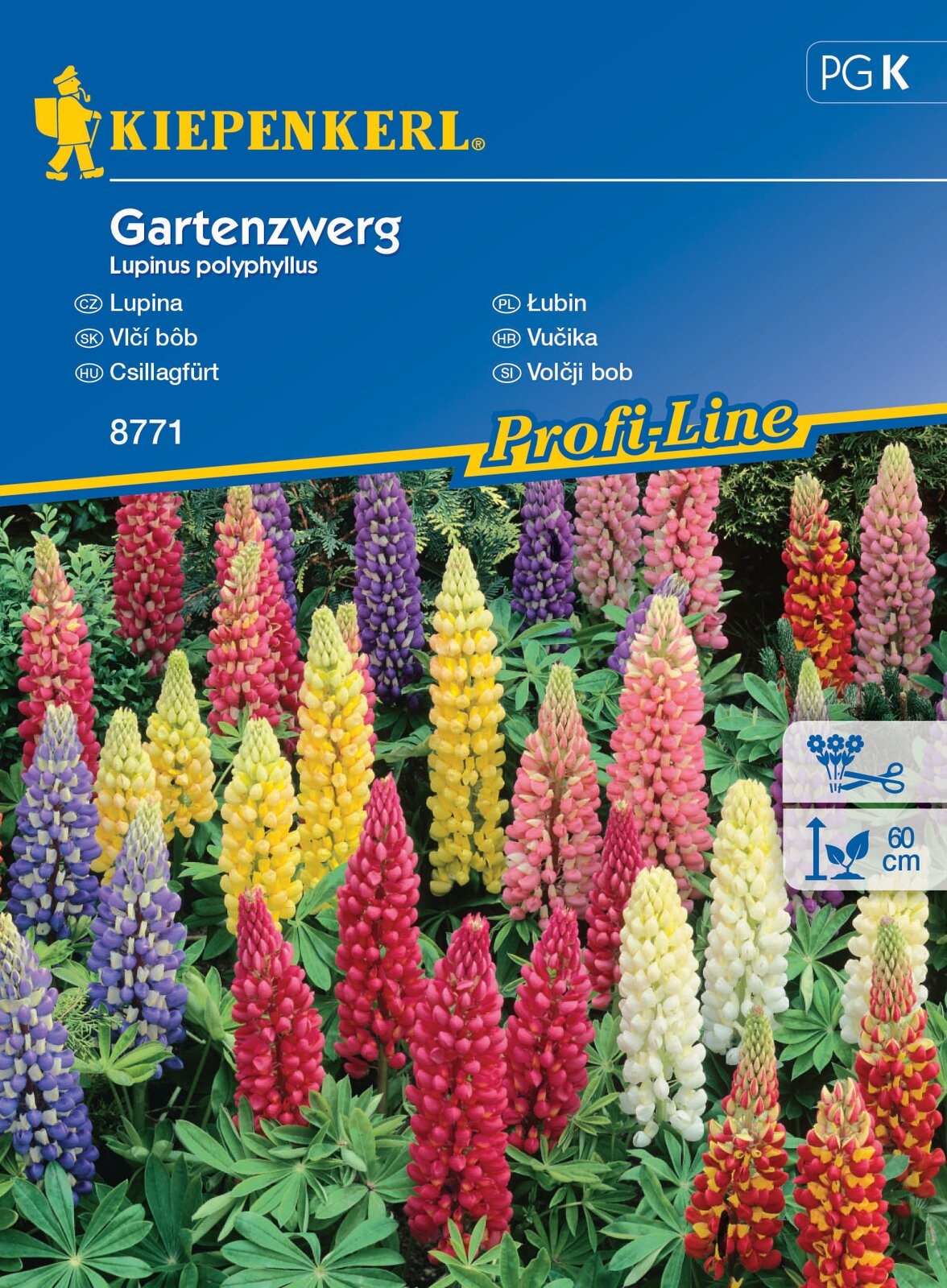 Starflower Garden Gnome 20 seeds Kiepenkerl