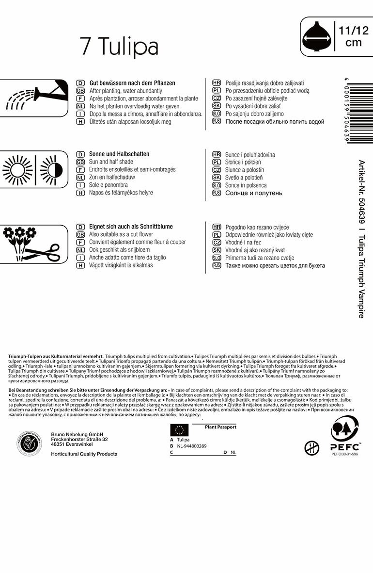 Virághagyma Tulipán Vampire 7 db Kiepenkerl