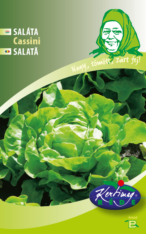 Cabbage lettuce Cassini 3g