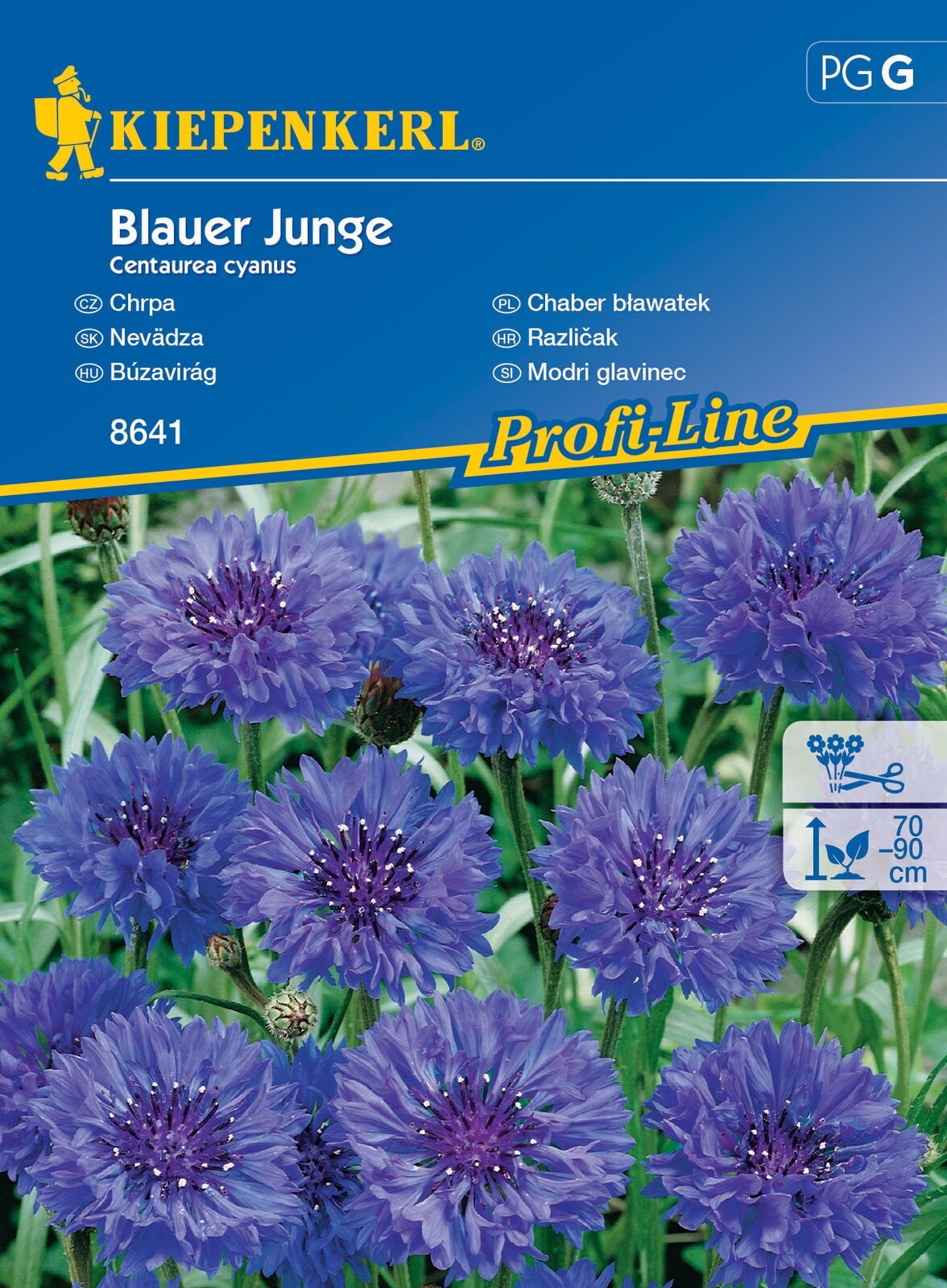 Cornflower Blauer Junge 60 seeds Kiepenkerl