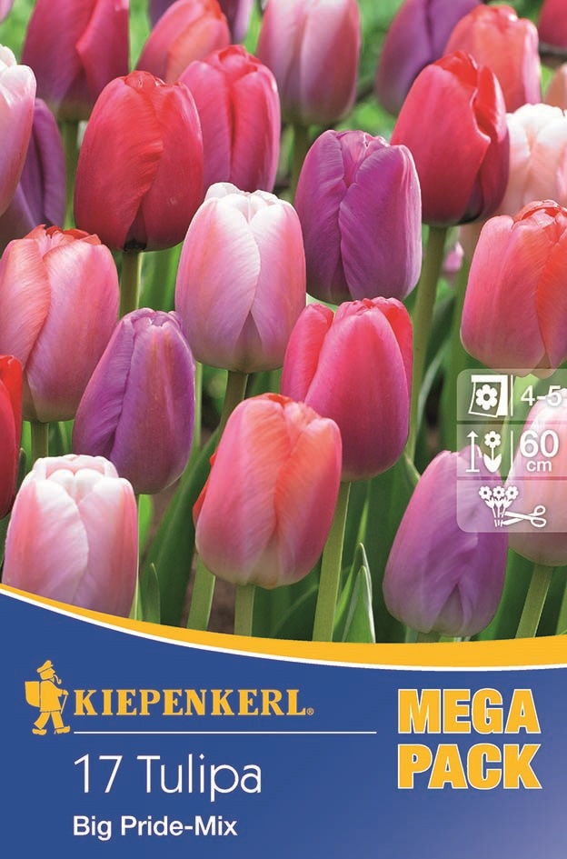 Tulipánhagyma Megapack, Kiepenkerl Big Pride-Mix 17 db