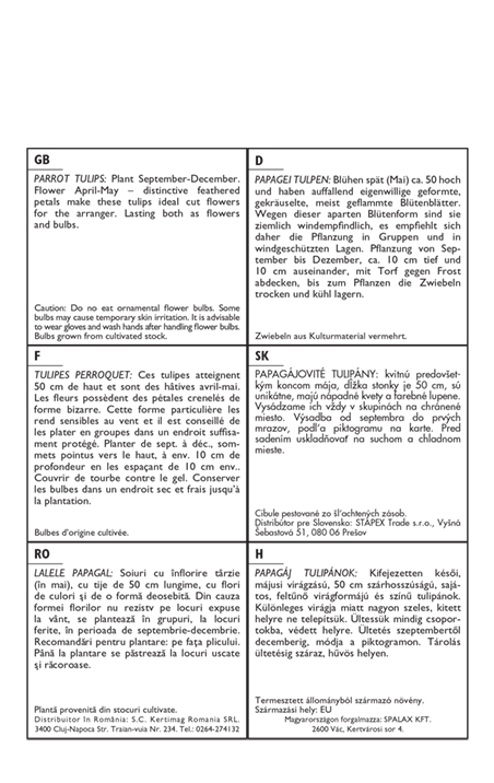 Flower Bulb Tulip Parrot Flower colour mix 10 pcs Garden Seed from Rédei