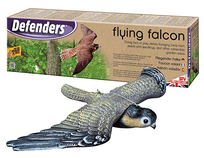 Bird Alarm Flying Falcon Defenders