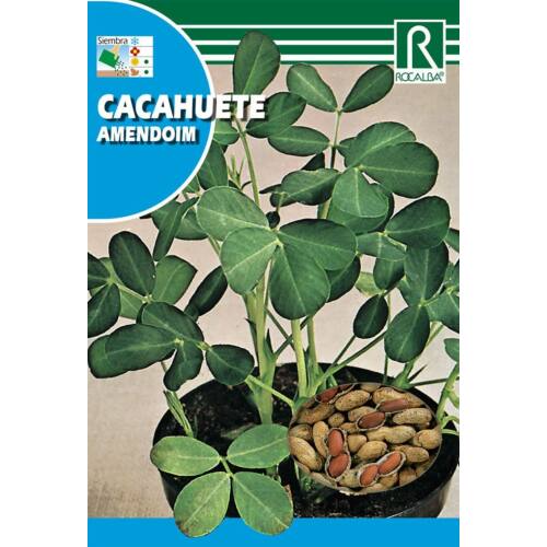 Peanuts (Cacahuete amendoim) 10g Rocalba